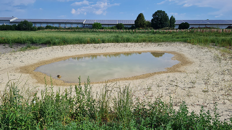 250704-herbertingen-ausgleichsflaeche-2