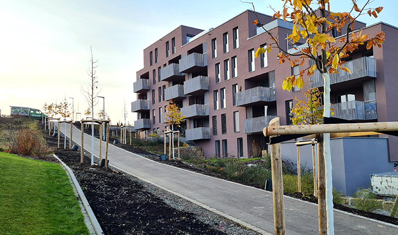 260107-kempten-halde-nord-bepflanzung