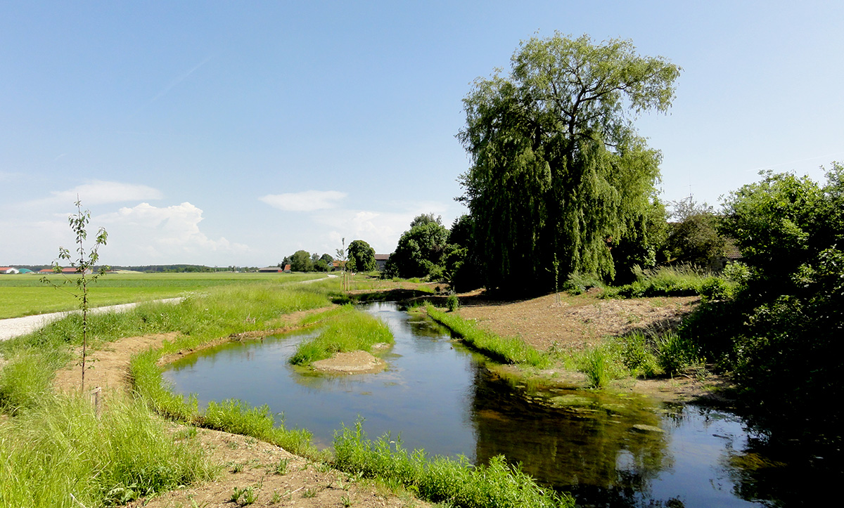 Ökologischer Gewässerausbau des Wörthbach in Rammingen 