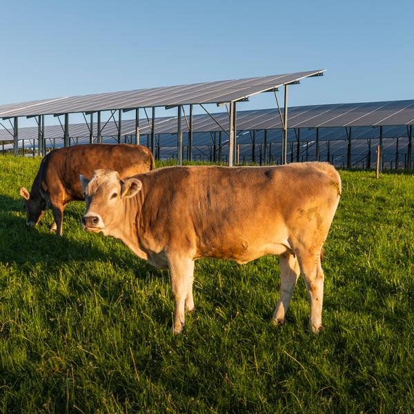 Agri-PV-Anlage Biessenhofen