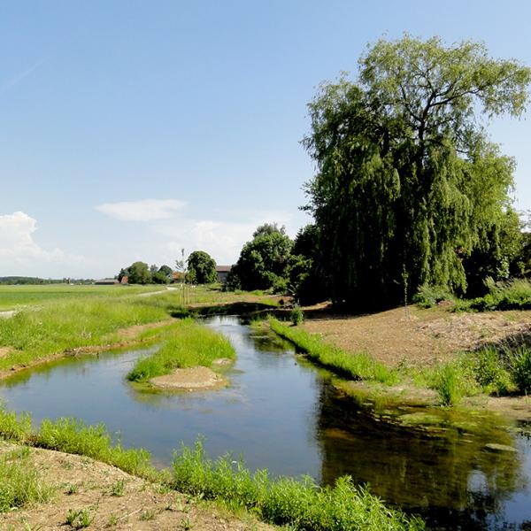  Ökologischer Gewässerausbau des Wörthbach in Rammingen 